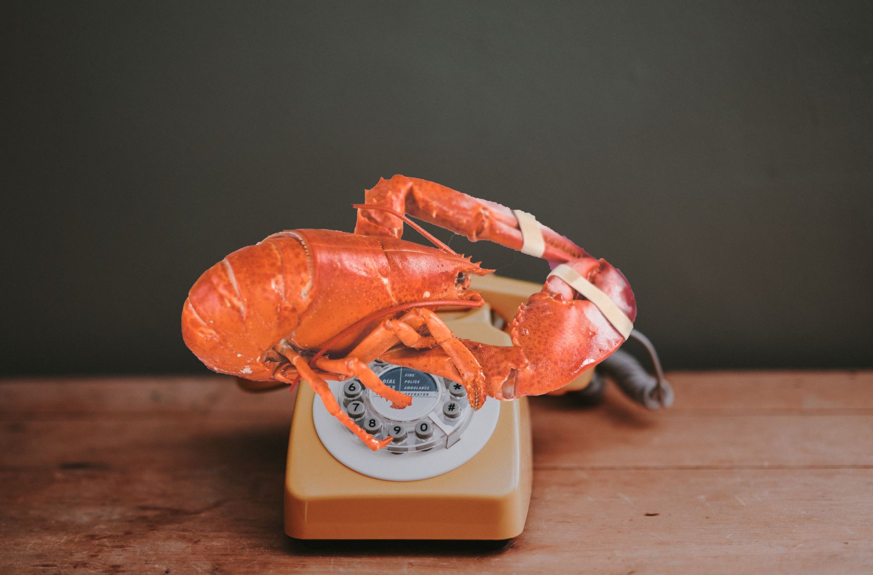Lobster Telephone, a better version with Photoshop